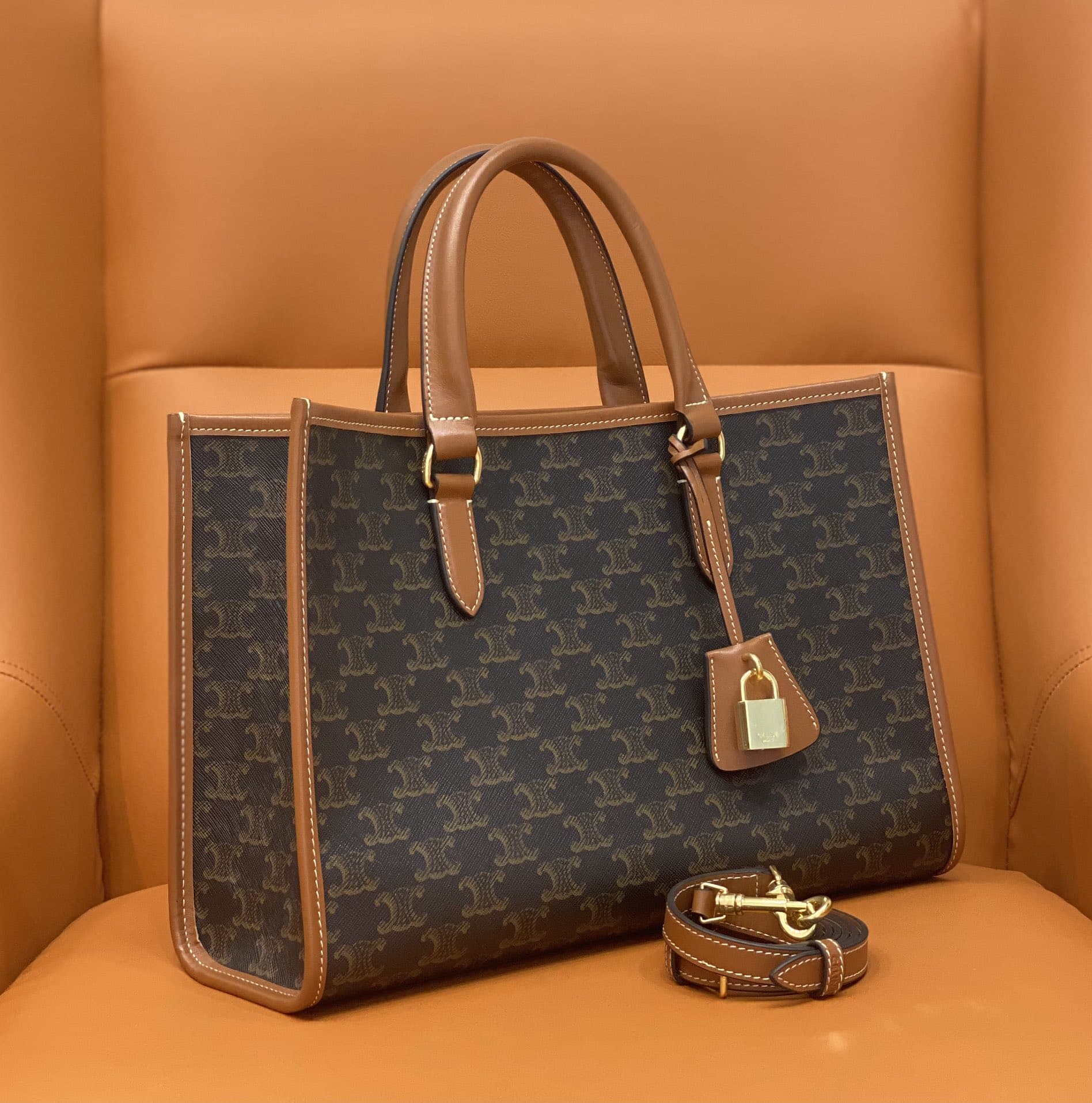 Celine mini horizontal cabas in Triomphe Canvas and calfskin CE0003