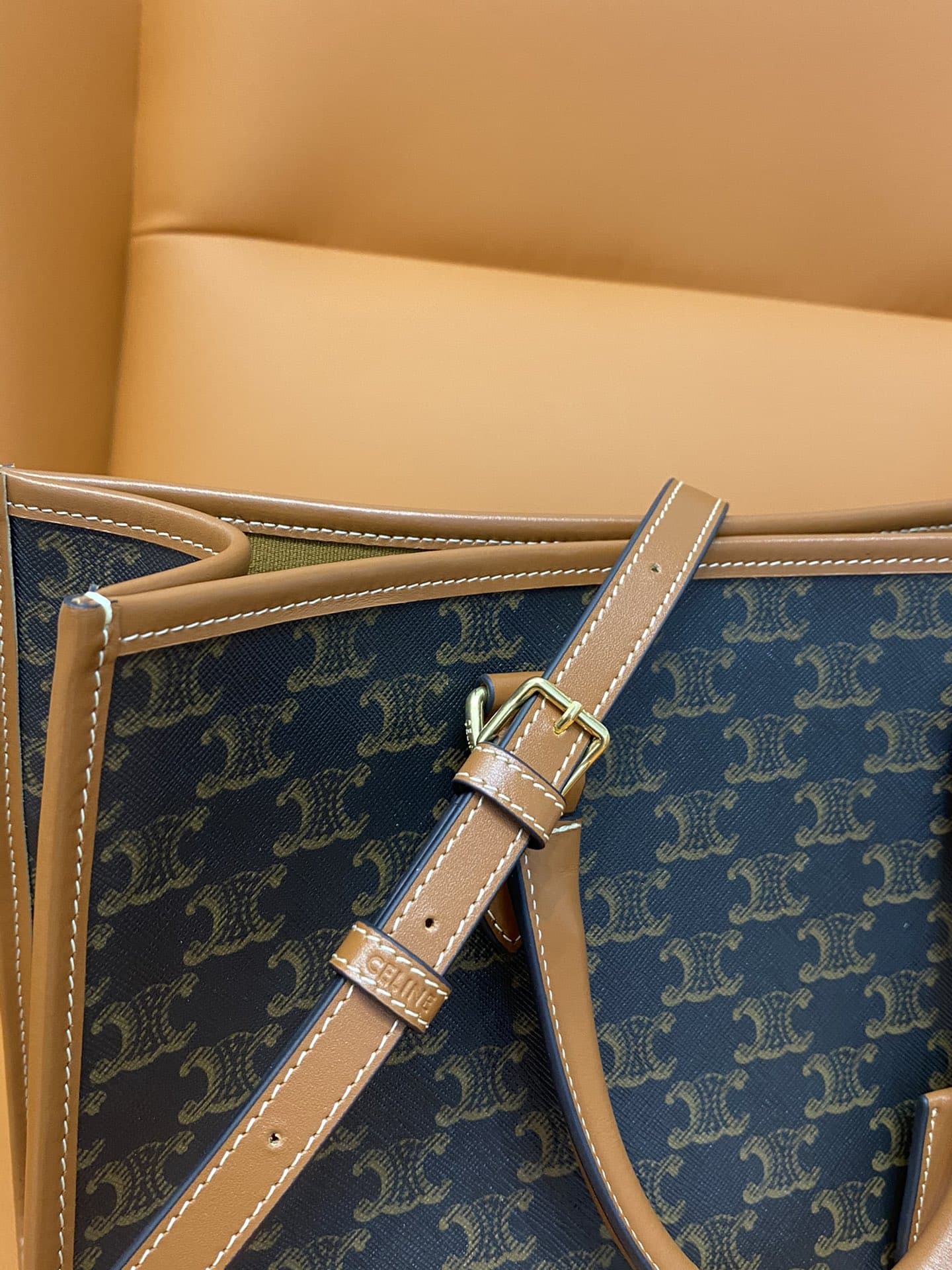 Celine mini horizontal cabas in Triomphe Canvas and calfskin CE0003