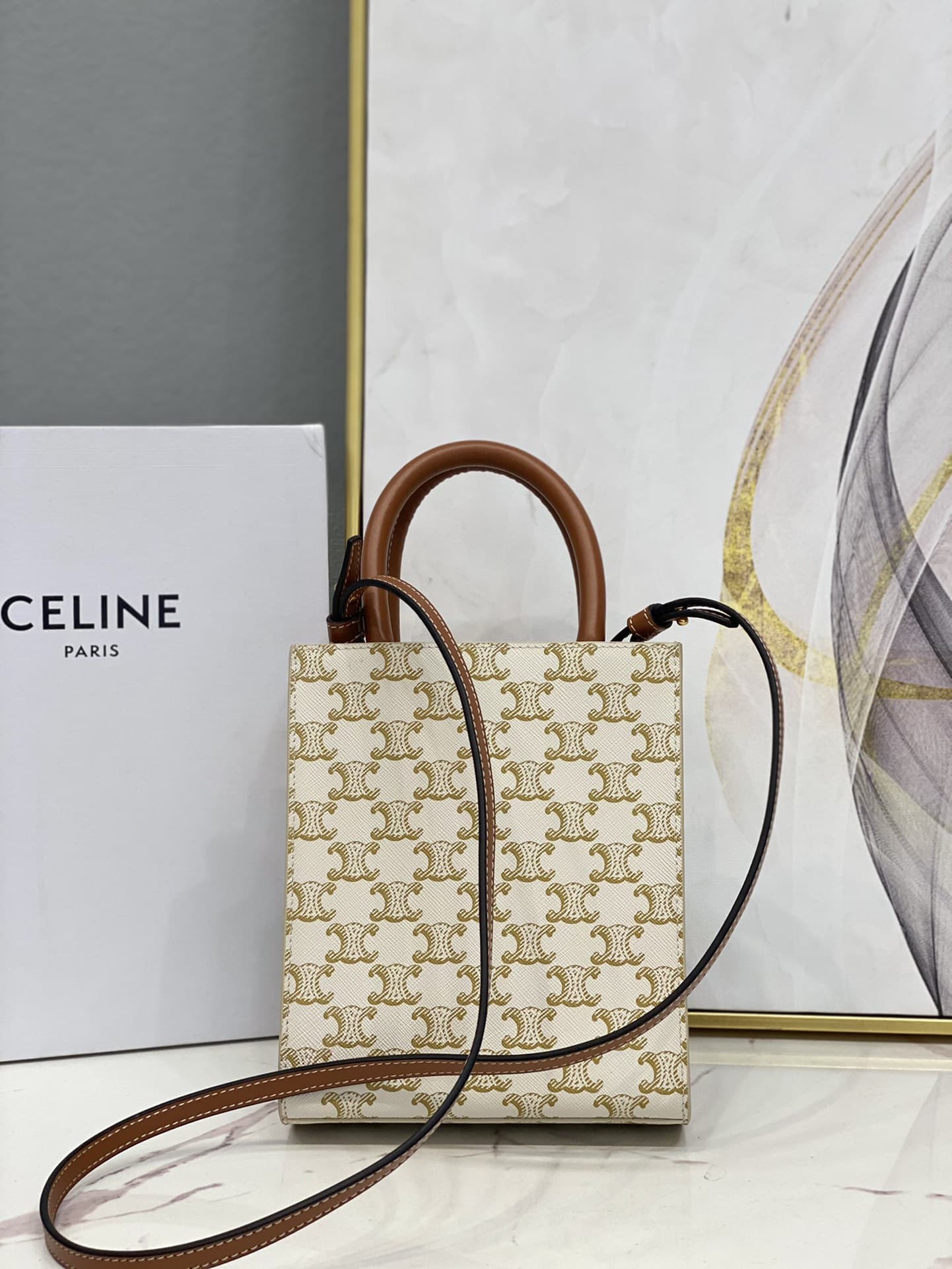 Celine Mini Vertical Cabas in Triomphe Canvas and calfskin with Celine print CE0007