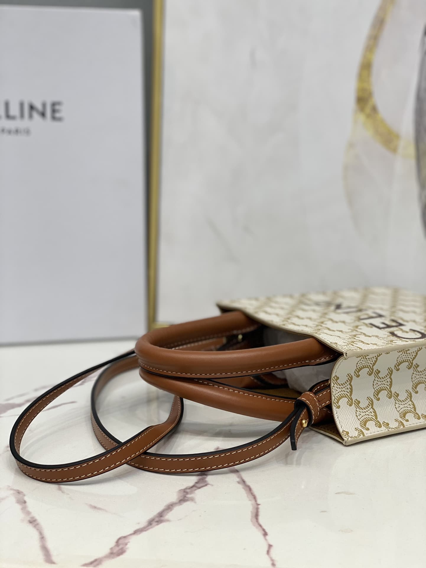 Celine Mini Vertical Cabas in Triomphe Canvas and calfskin with Celine print CE0007