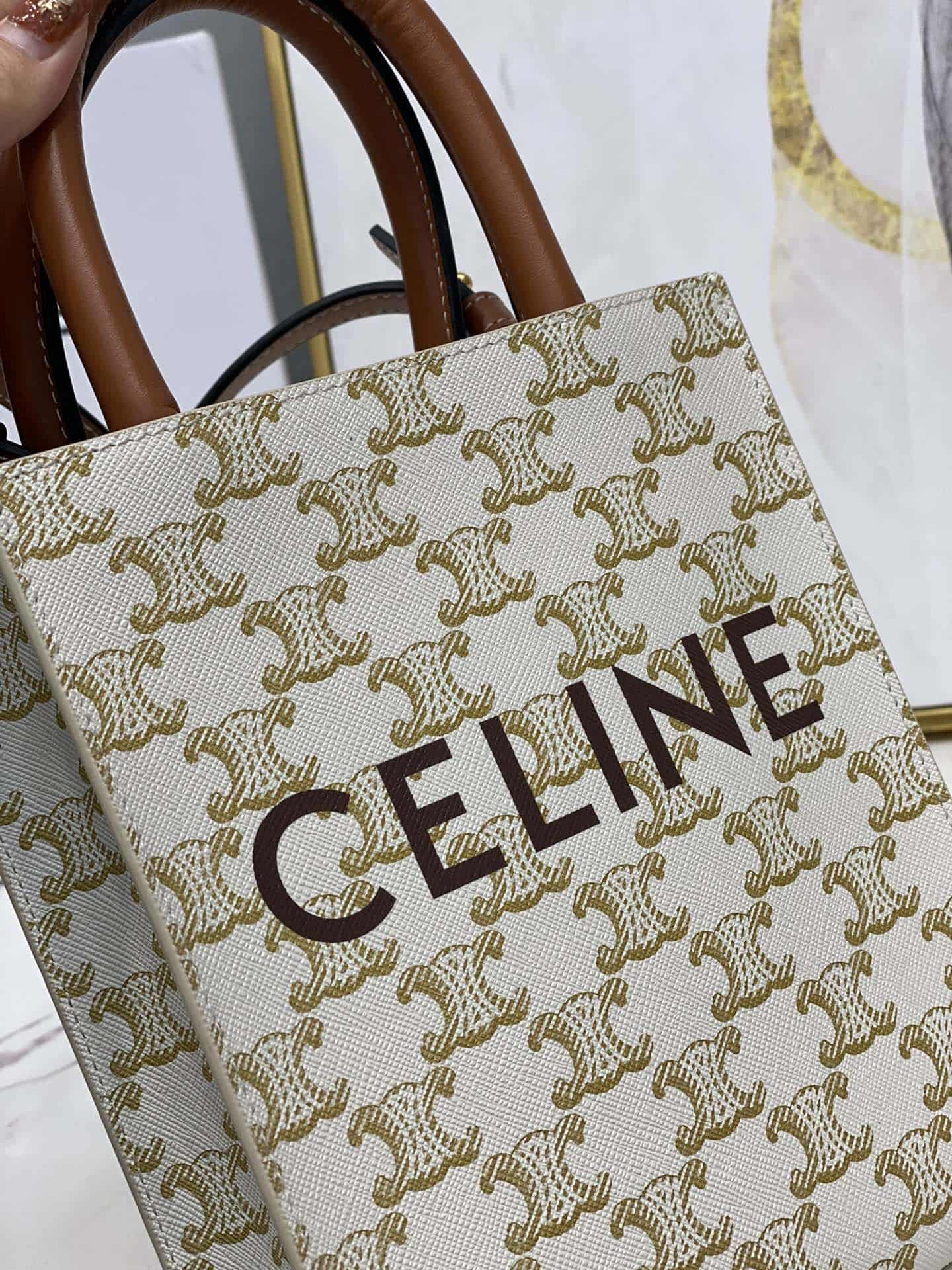 Celine Mini Vertical Cabas in Triomphe Canvas and calfskin with Celine print CE0007