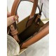 Celine Mini Vertical Cabas in Triomphe Canvas and calfskin with Celine print CE0007