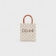 Celine Mini Vertical Cabas in Triomphe Canvas and calfskin with Celine print CE0007