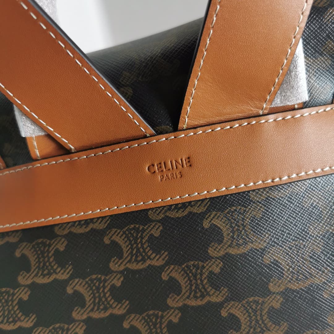 Celine MEDIUM BACKPACK FOLCO in Triomphe Canvas and calfskin CE0010