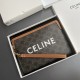 Celine SMALL POUCH WITH STRAP in TRIOMPHE CANVAS WITH CELINE PRINT CE0018