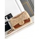 Chanel Fall-Winter 2024/25 Flap Bag AS5149