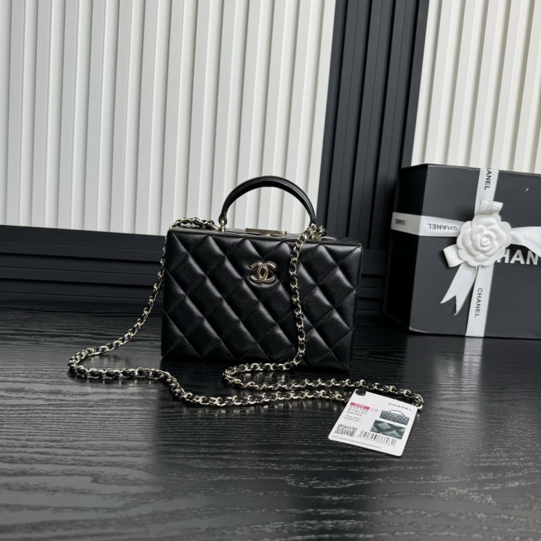 Chanel Fall-Winter 2024/25 Box bag AS5168 