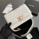 Chanel Fall-Winter 2024/25 Pre-Collection CHANEL 19 Wallet on Chain AP3267