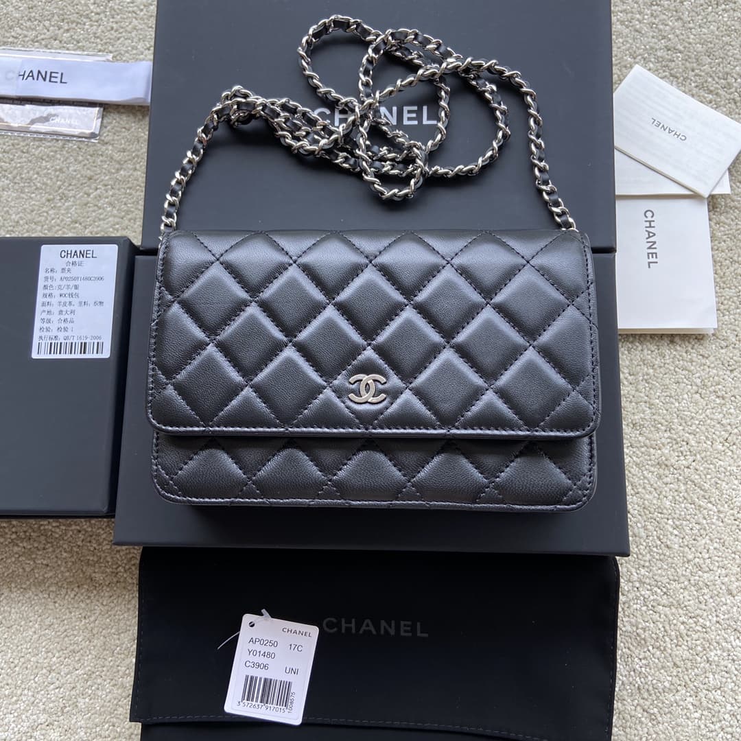 Chanel Classic Wallet on Chain AP0250