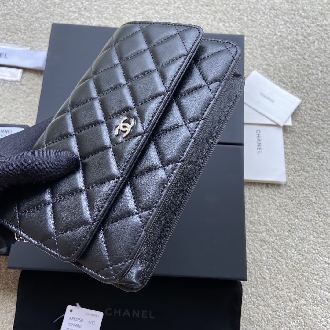 Chanel Classic Wallet on Chain AP0250