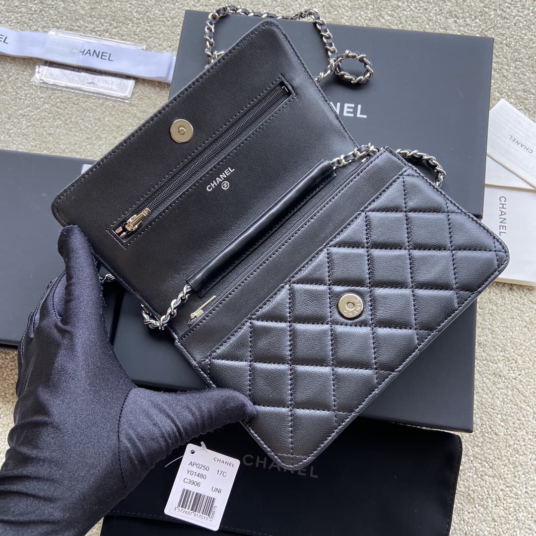 Chanel Classic Wallet on Chain AP0250