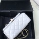 Chanel Mini Pearl Crush Flap Bag AS1786