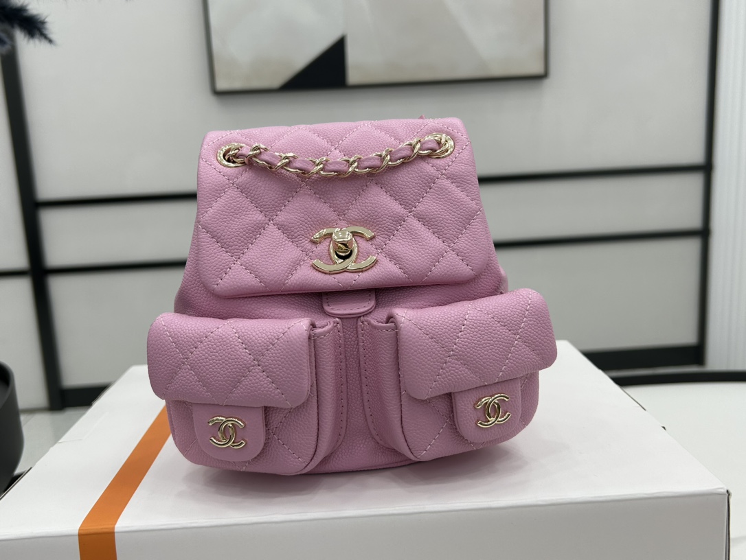 Chanel Small 2 Pocket Duma Backpack Pink AS3860