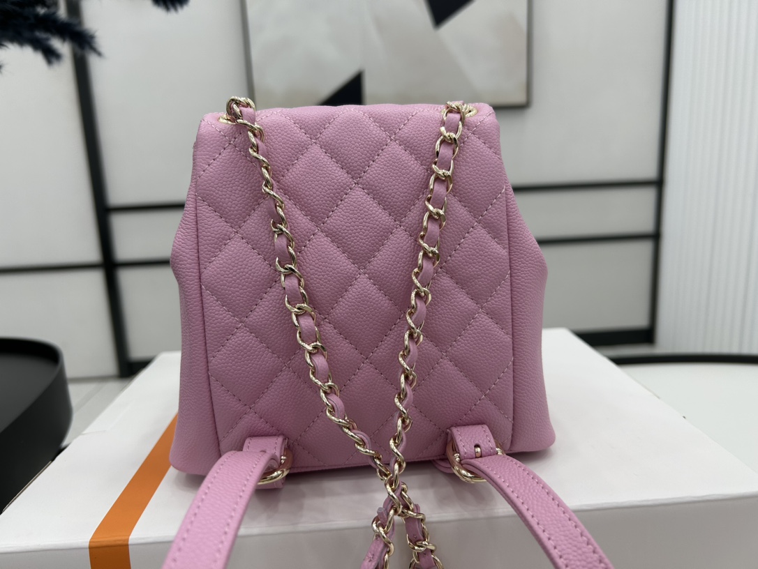 Chanel Small 2 Pocket Duma Backpack Pink AS3860