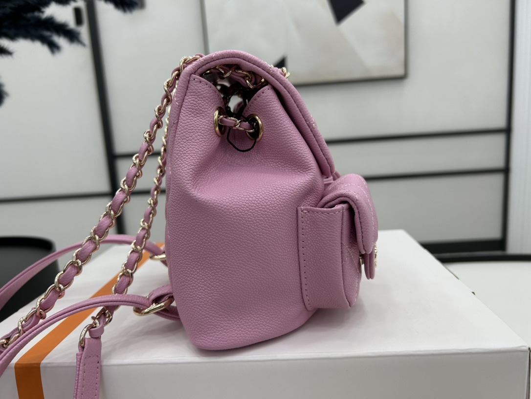 Chanel Small 2 Pocket Duma Backpack Pink AS3860