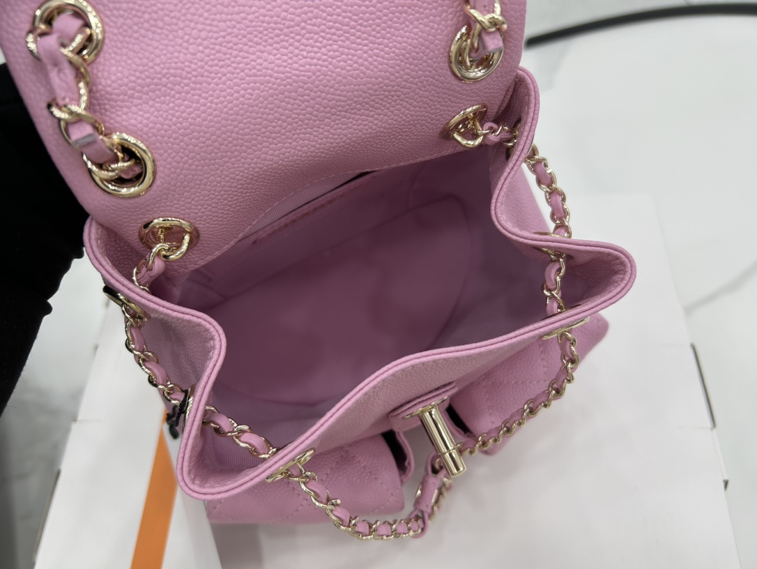 Chanel Small 2 Pocket Duma Backpack Pink AS3860