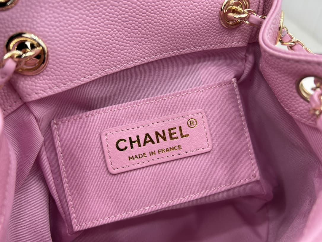 Chanel Small 2 Pocket Duma Backpack Pink AS3860