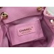 Chanel Small 2 Pocket Duma Backpack Pink AS3860