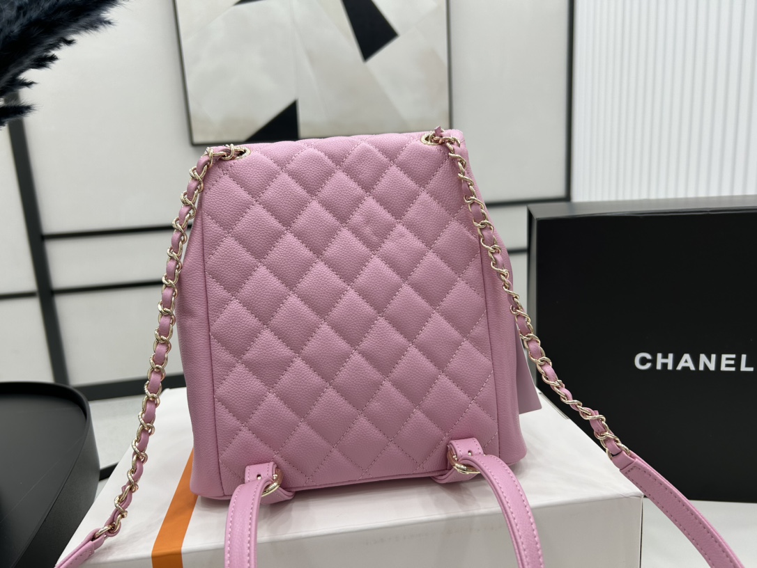 Chanel 2 Pocket Duma Backpack AS3860