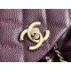 Chanel Small 2 Pocket Duma Backpack AS3860