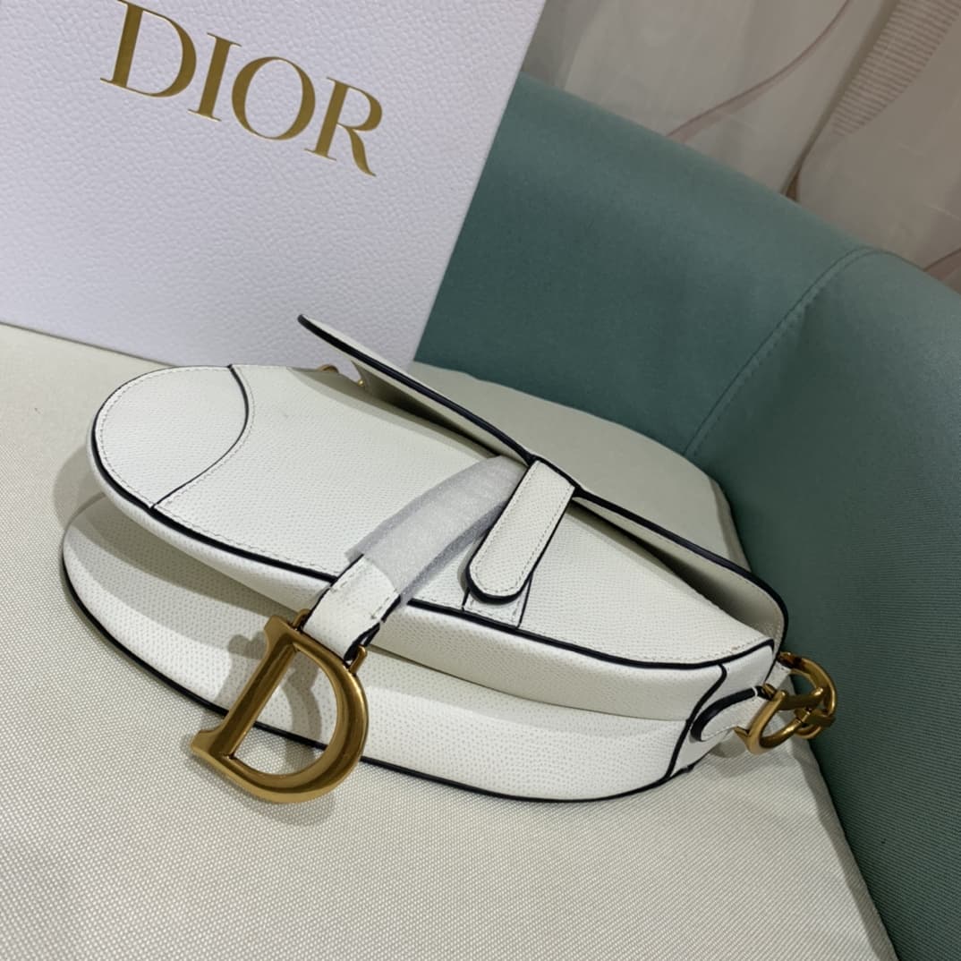 Dior Mini Saddle Bag with Strap Latte Grained Calfskin  M0456CBAA