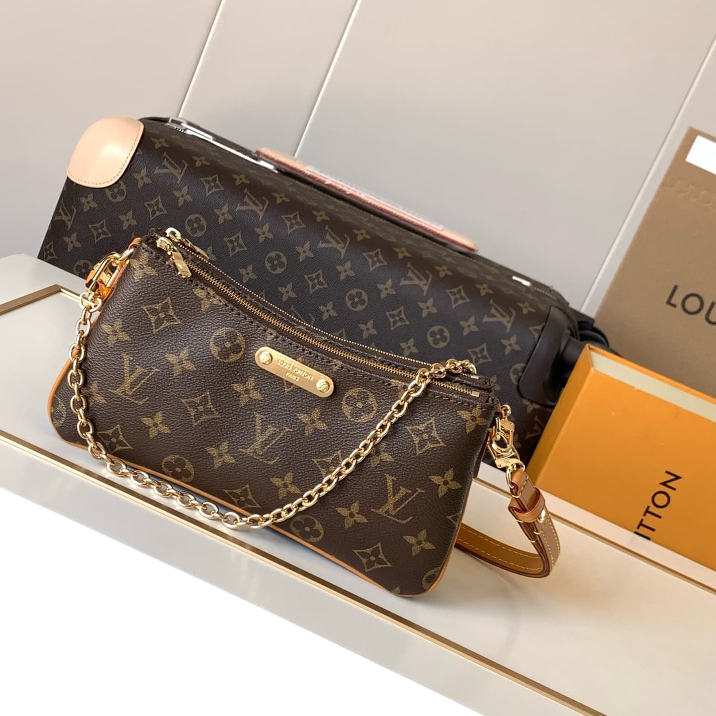 Louis Vuitton Liv Pochette Handbag M83008 