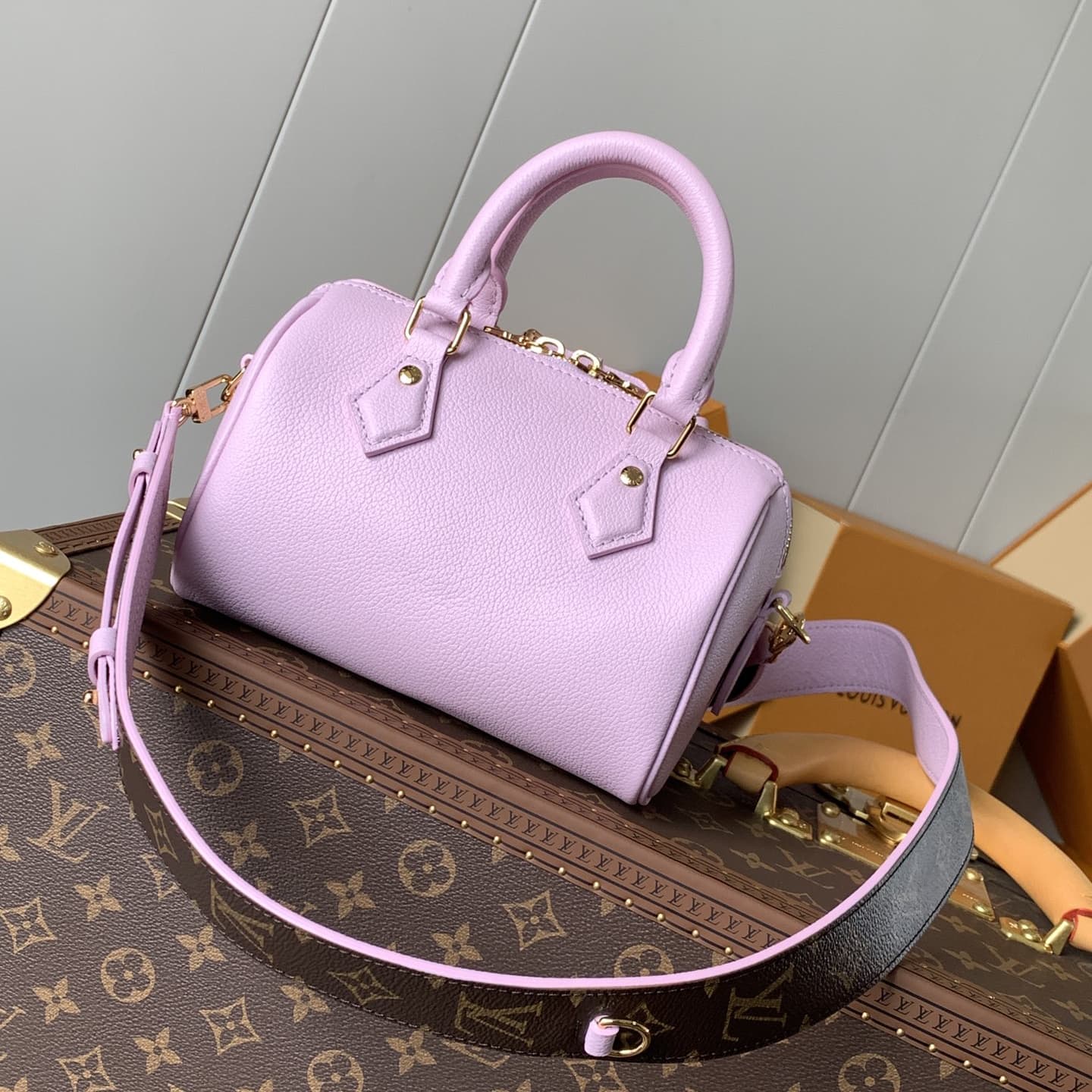 Louis Vuitton Speedy Bandoulière 20 Handbag M24598 