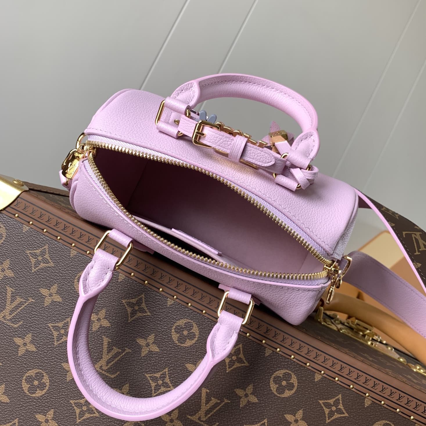 Louis Vuitton Speedy Bandoulière 20 Handbag M24598 