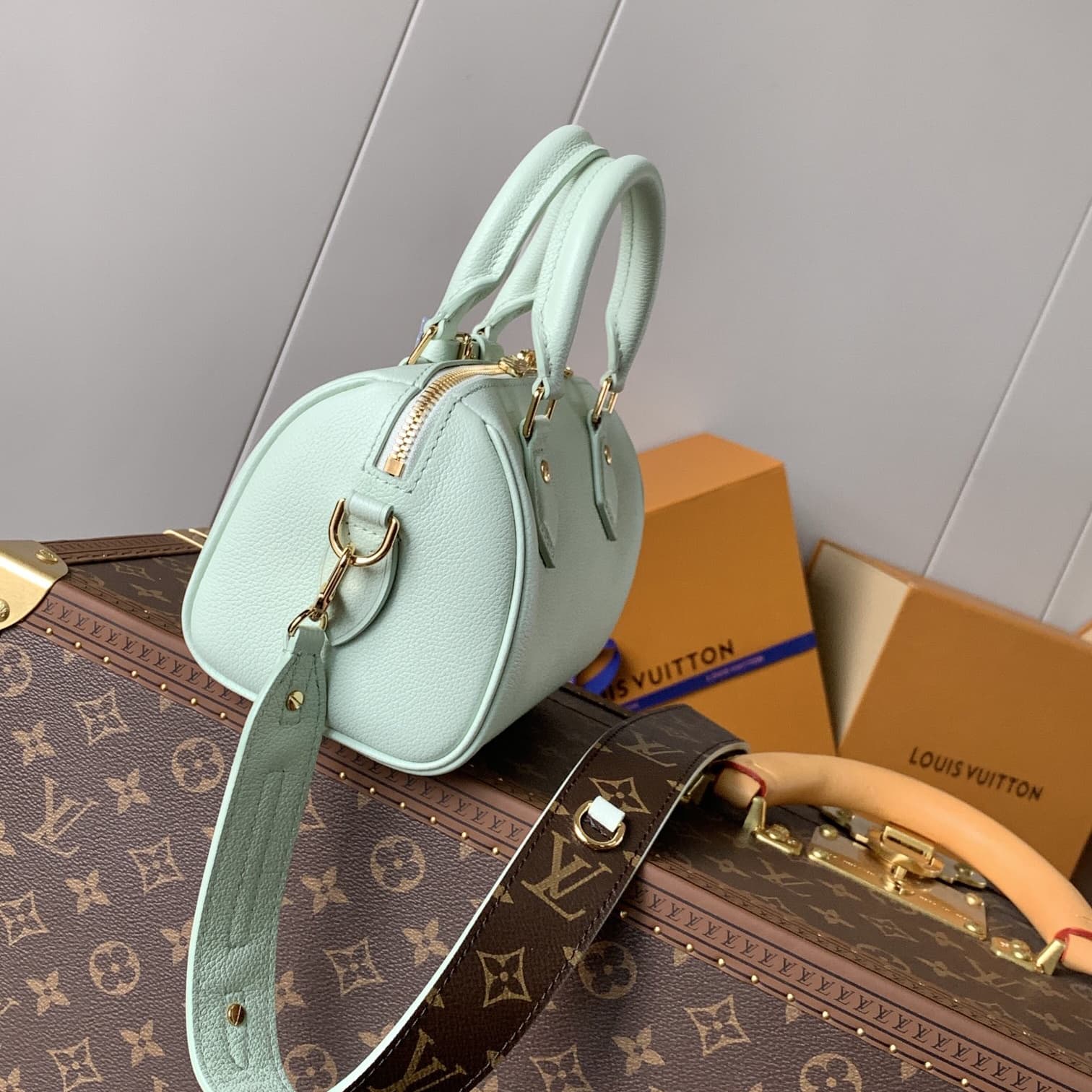 Louis Vuitton Speedy Bandoulière 20 Handbag M24605 