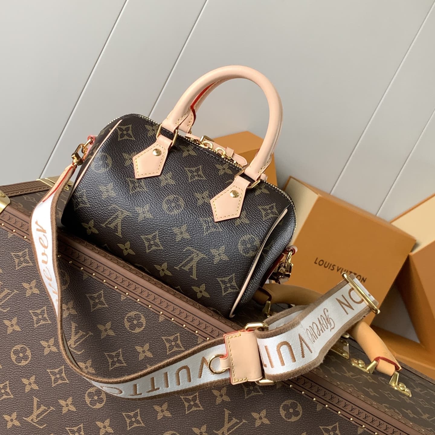 Louis Vuitton Speedy Bandoulière 20 Handbag M46970 