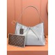 Louis Vuitton CarryAll Dark MM Handbag M12583 