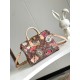 Louis Vuitton Speedy Bandoulière 30 Handbag M47087 