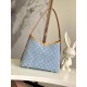 Louis Vuitton CarryAll PM Handbag M11462 