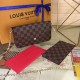 Louis Vuitton Félicie Pochette Handbag N40492 