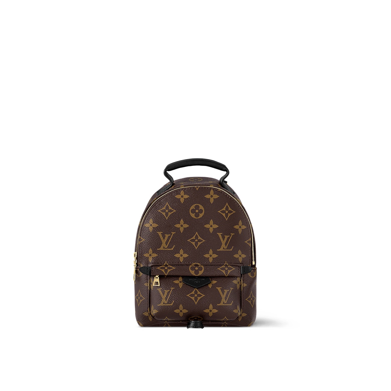 Louis Vuitton Palm Springs Mini Backpack M44873 