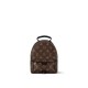 Louis Vuitton Palm Springs Mini Backpack M44873 