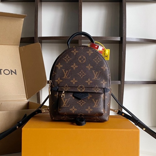 Louis Vuitton Palm Springs Mini Backpack M44873 