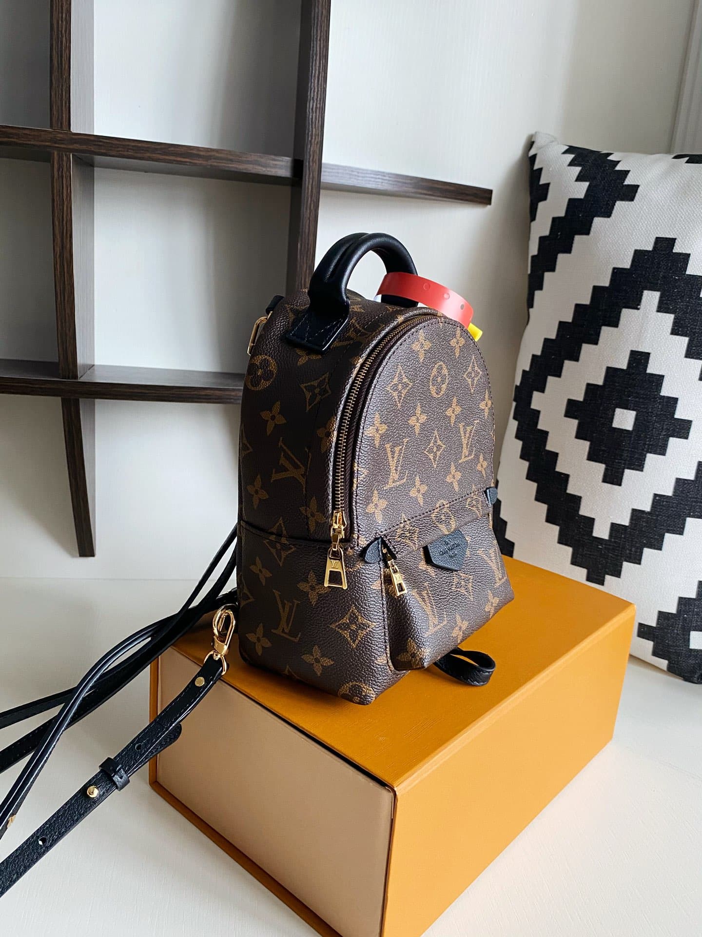 Louis Vuitton Palm Springs Mini Backpack M44873 