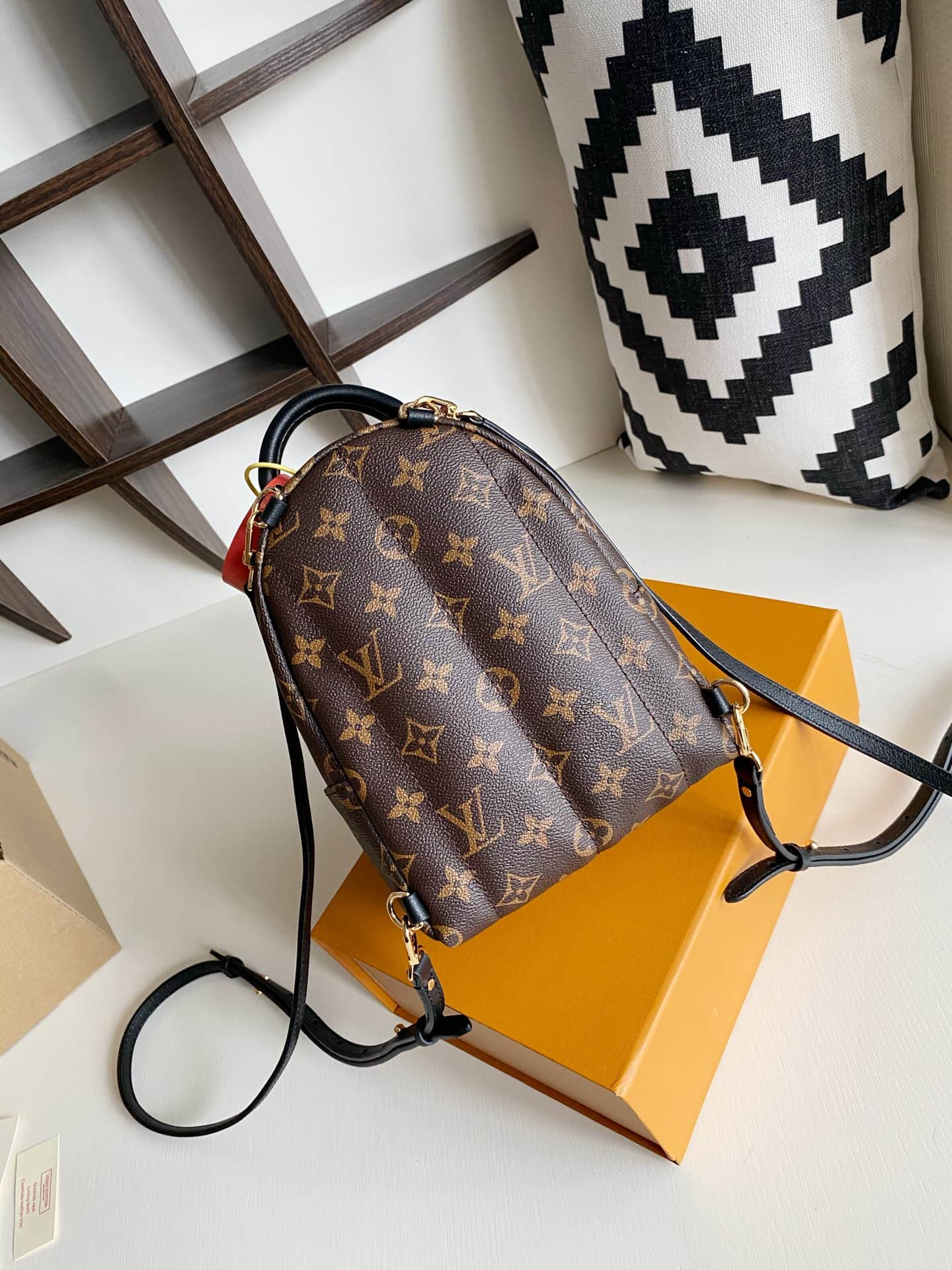 Louis Vuitton Palm Springs Mini Backpack M44873 