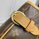 Louis Vuitton Babylone Tote PM Tote Bag M51154