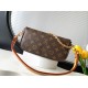 Louis Vuitton Wallet On Chain Ivy Handbag M81911