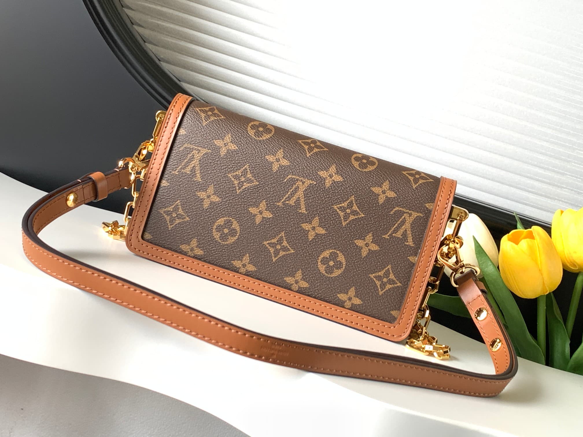 Louis Vuitton Dauphine East West Handbag M46757