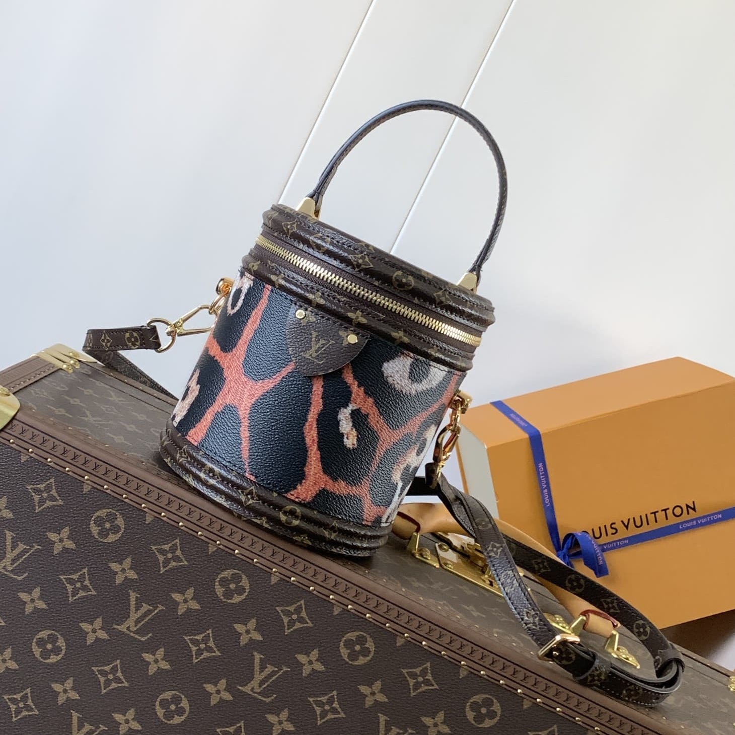 Louis Vuitton VANITY Cannes Bag M13846