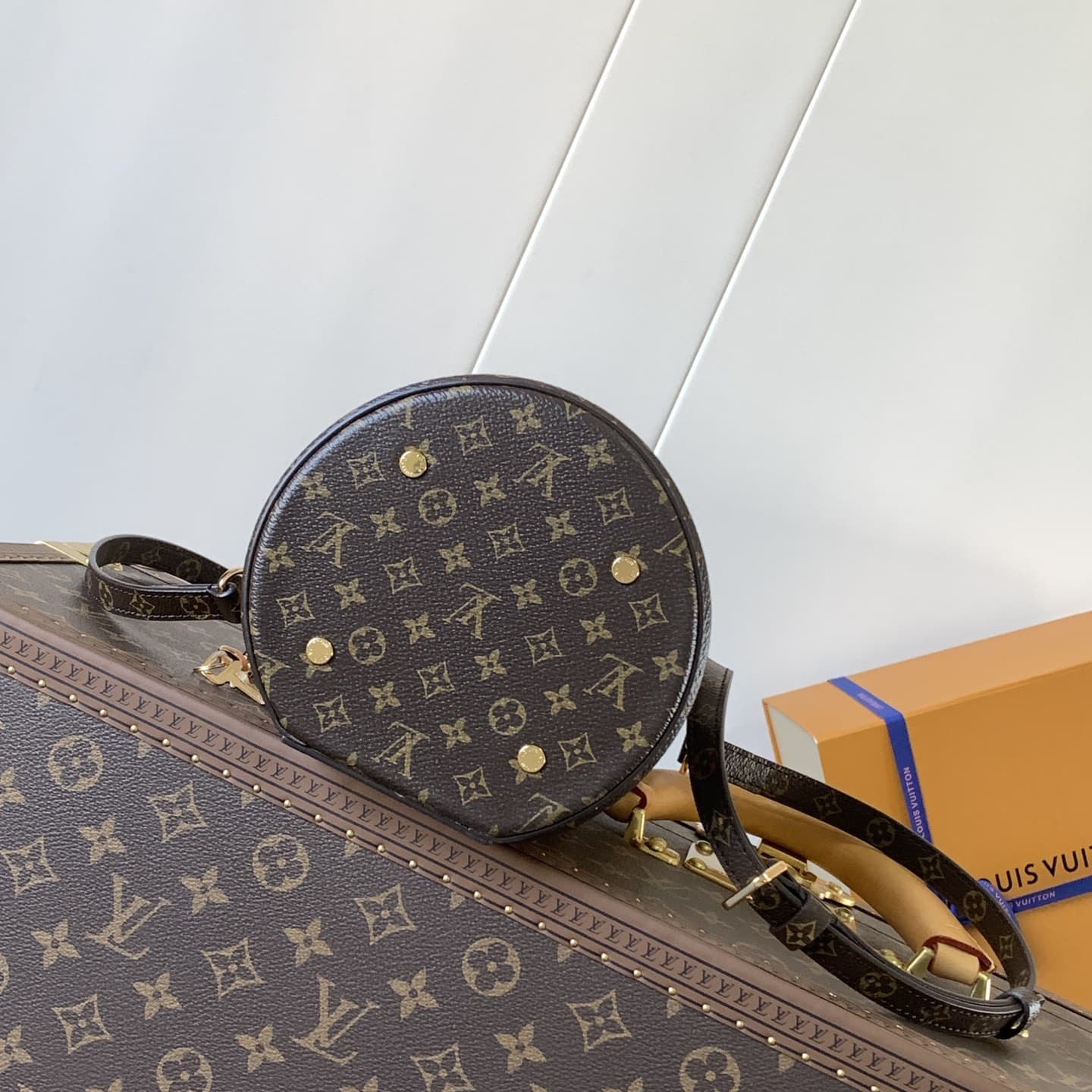 Louis Vuitton VANITY Cannes Bag M13846