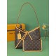 Louis Vuitton CarryAll PM Handbag M46203