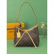 Louis Vuitton CarryAll PM Handbag M46203