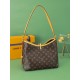 Louis Vuitton CarryAll PM Handbag M46203