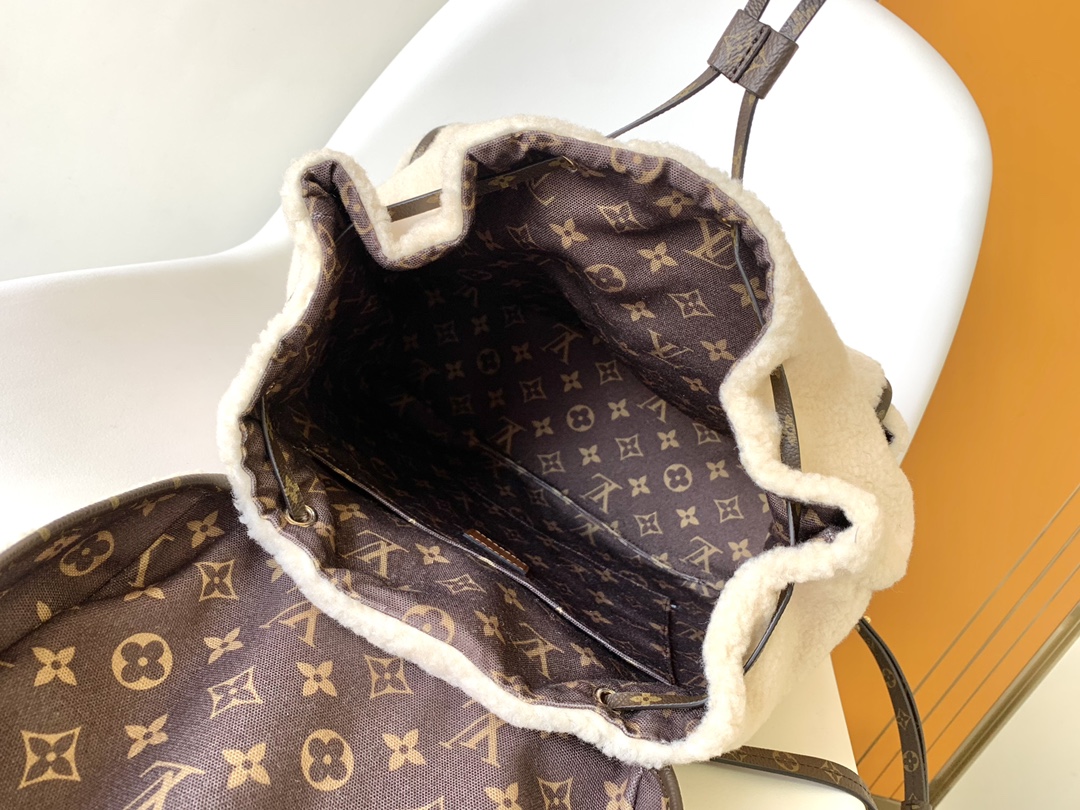 Louis Vuitton SKI Backpack M23384