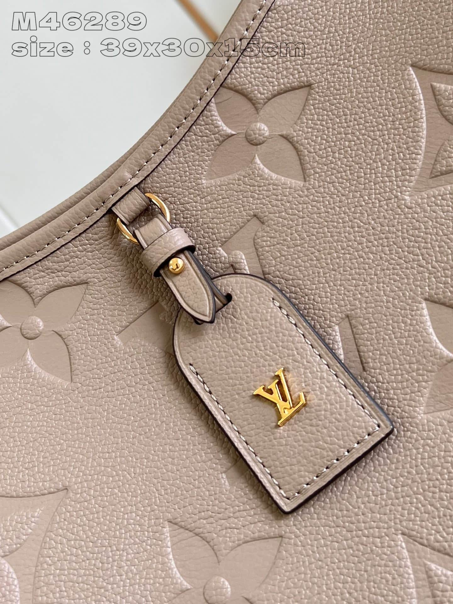 Louis Vuitton CarryAll MM Handbag M46292